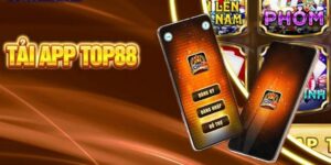 Trong quá trình cài đặt không đóng hoặc thoát khỏi trình duyệt